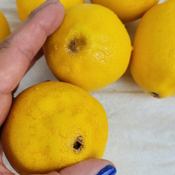 Lot Of 8 Faux Yellow Lemons Approximately 3 x 2 Each Home Decor Staging Color - Picture 7 of 7